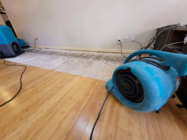 Professional Water Damage Repair technician working in Washingtonville, OH